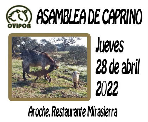 OVIPOR. Asamblea Sección Caprino 2022. Restaurante MiraSierra, Aroche. 28 de Abril de 2022