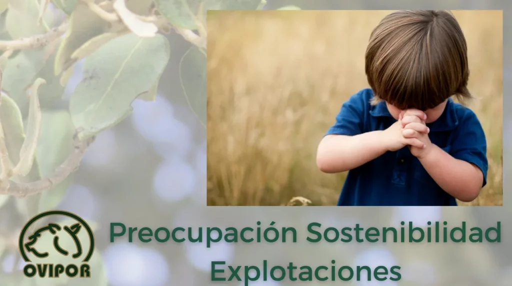 Encuesta sobre relevo generacional realizada a los socios de Ovipor a final de 2024