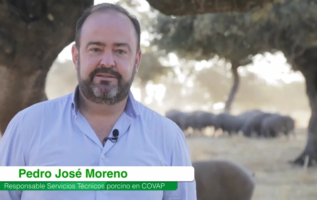 Pedro José Moreno Moreno